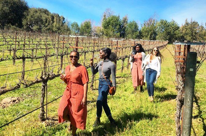 Small-Group Wine Tour in Santa Barbara to Exclusive Vineyards