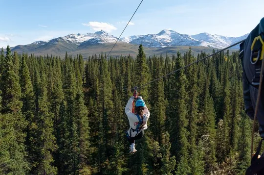Denali Park Zipline Adventure: Denalis am besten bewertete Zipline-Tour!