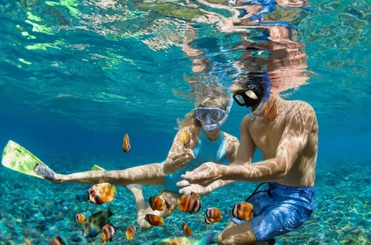 Kona Shore Excursion: Dolphins & Captain Cook Reef Snorkel