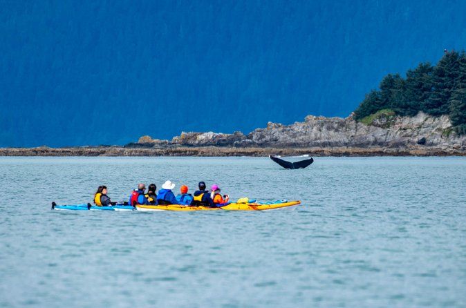 Juneau Shore Excursion: Paddle with Whales Kayak Adventure