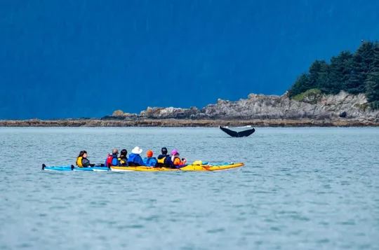 Juneau Shore Excursion: Paddle with Whales Kayak Adventure