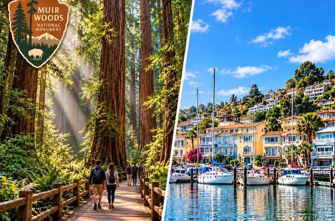 San Francisco Excursion: Guided Tour to Muir Woods and Sausalito