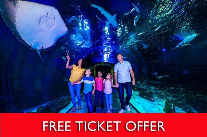 SEA LIFE Orlando Aquarium Admission Ticket at ICON Park