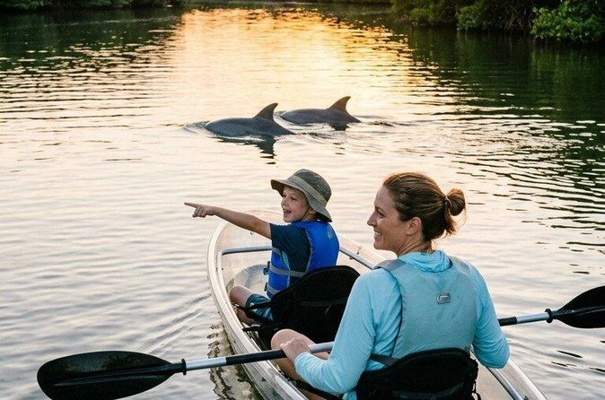 Dolphin and Manatee Clear Kayak or Paddleboard Tour