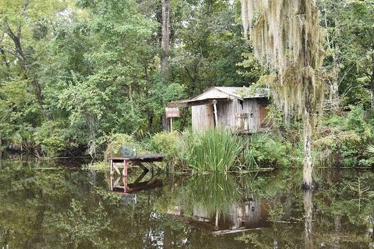 Jean Lafitte 90-Minute Swamp and Bayou Boat Tour