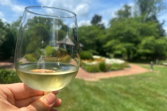 Private Washington DC Virginia Winery Wine Tasting Tour