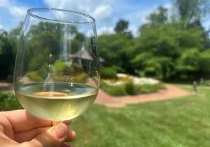 Private Washington DC Virginia Winery Wine Tasting Tour