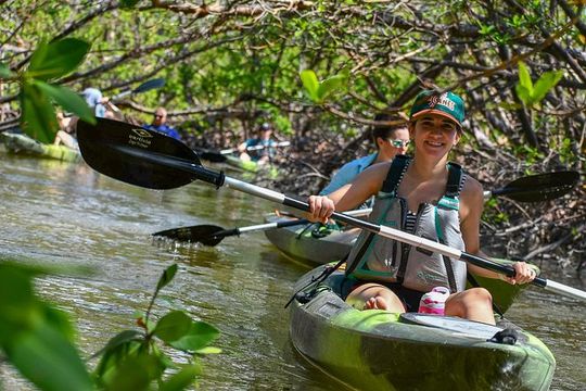 Mangrove Tunnels & Mudflats Kayak Tour - Local Biologist Guides