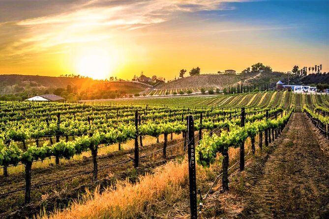 San Diego to Temecula - Wine Country tour plus Old Town Temecula