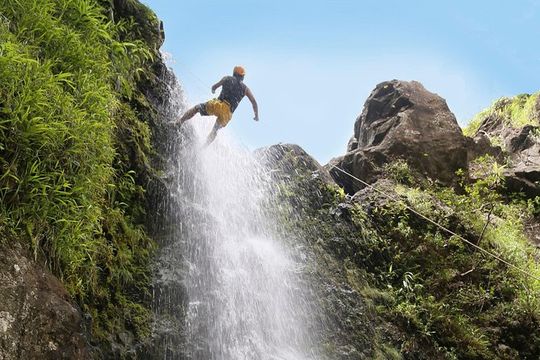 Rappel Maui Waterfalls and Rainforest Cliffs
