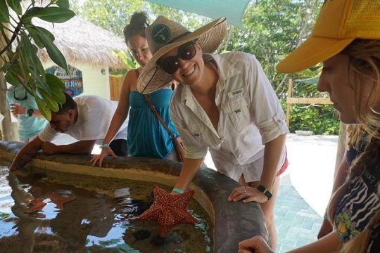 Full-Day Tour to Florida Keys Aquarium Encounters from Key West