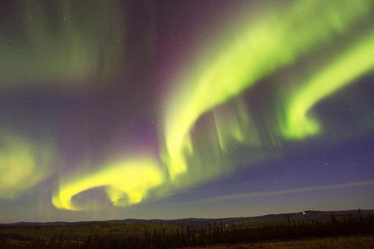 Northern Lights Viewing including Dinner and 1-Hour Dog Sledding