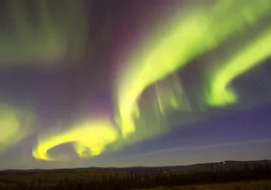 Northern Lights Viewing including Dinner and 1-Hour Dog Sledding