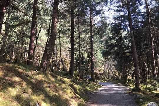 Rainforest & Waterfalls Trek