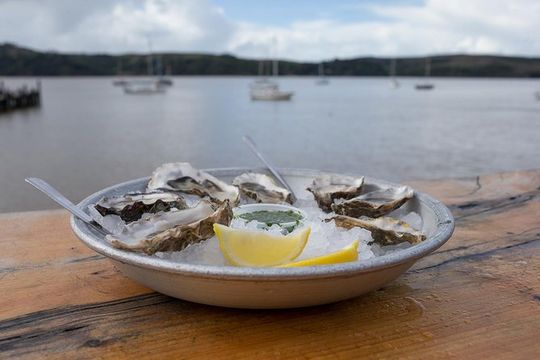 Sonoma Coast Tasting Tour: Cheese, Honey, Oysters, Wine and Oils