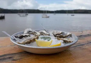 Sonoma Coast Tasting Tour: Cheese, Honey, Oysters, Wine and Oils