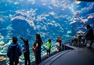 California Academy of Sciences General Admission Ticket