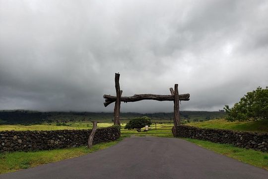 Small-Group Road to Hana Adventure Tour with Pickup & Lunch