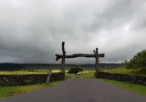 Small-Group Road to Hana Adventure Tour with Pickup & Lunch
