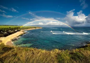 Kahului Shore Excursion: Private Tropics of Maui & Rainforest