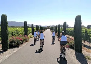 Sonoma Valley Bike and Wine Ebike Tour