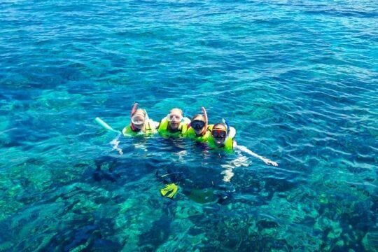 Reef Snorkel & Sail Adventure – Morning