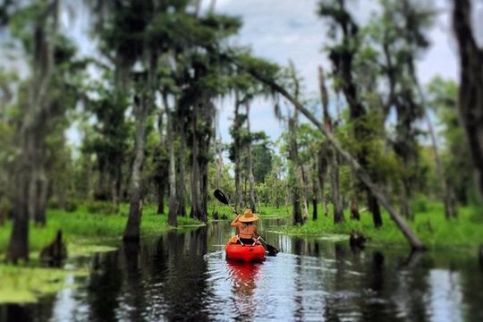 Small-Group Manchac Swamp Kayak Tour