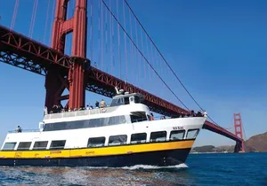 Bus & Boat Adventure