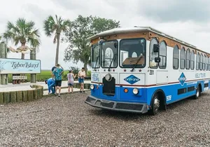 Savannah to Tybee Island with Dolphin Cruise