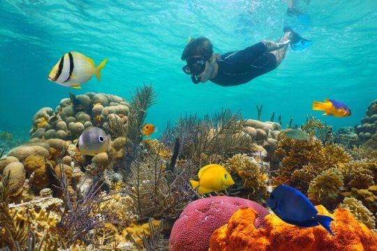 Key West Snorkeling