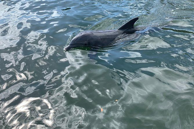Small Group Florida Keys Eco Tour by Boat