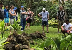 Secret Oahu Hawaii Culture Tour With A Local Guide