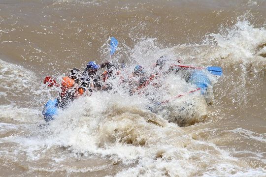 Whitewater Rafting on the Colorado River