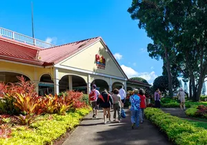 See the Sunrise: Circle Island Tour + Free Mac Nuts Max 14 Guests