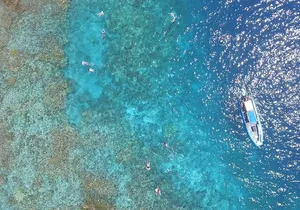 Snorkel Tour to Captain Cook Monument Kailua-Kona, Big Island