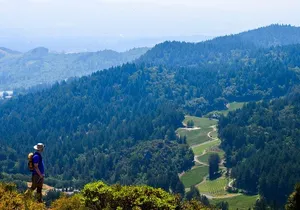 Wine & Wellness Tour in Napa Valley