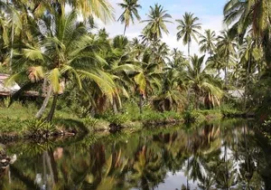 Kauai: Hawaii Movie Tour