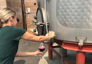 Wine Tour Pros - Wine Tour and Transportation: SUV Up To 6 Guests