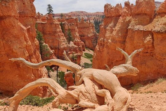 Small Group Bryce Canyon & Zion National Park Tour from Las Vegas
