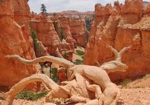 Small Group Bryce Canyon & Zion National Park Tour from Las Vegas