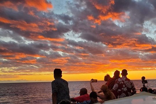 Glass-Bottom Boat Reef Tour