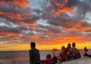 Glass-Bottom Boat Reef Tour