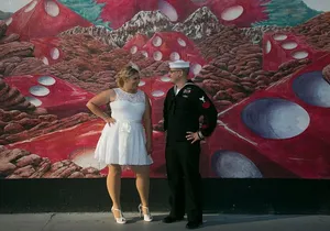 Romantic 2 Hour Photo Tour by Limousine