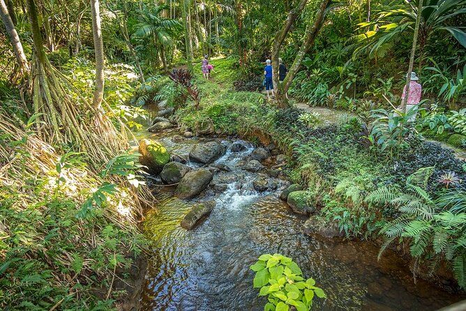 Princeville Botanical Gardens Tour and Chocolate Tasting Ticket