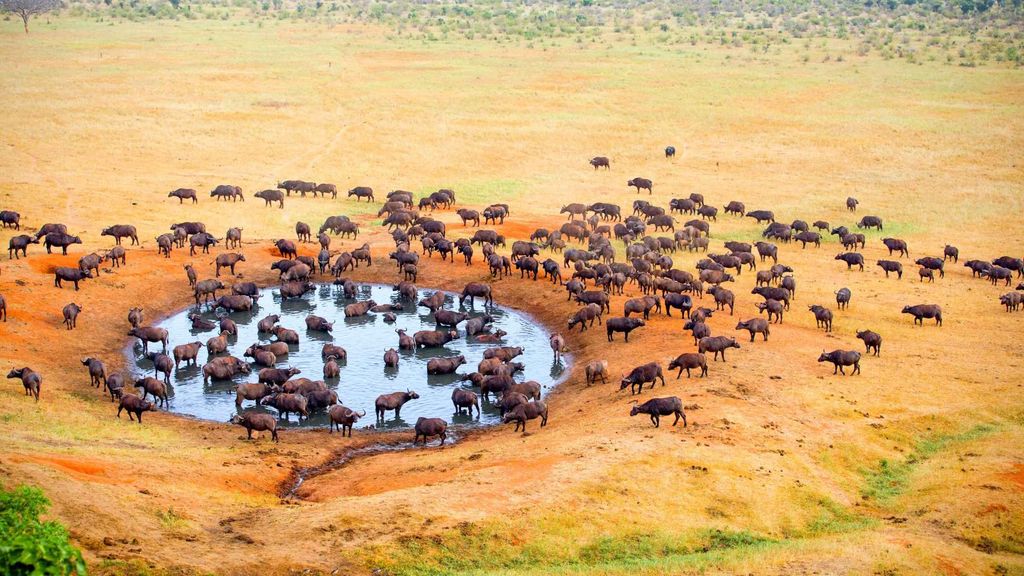 Rift Valley Province