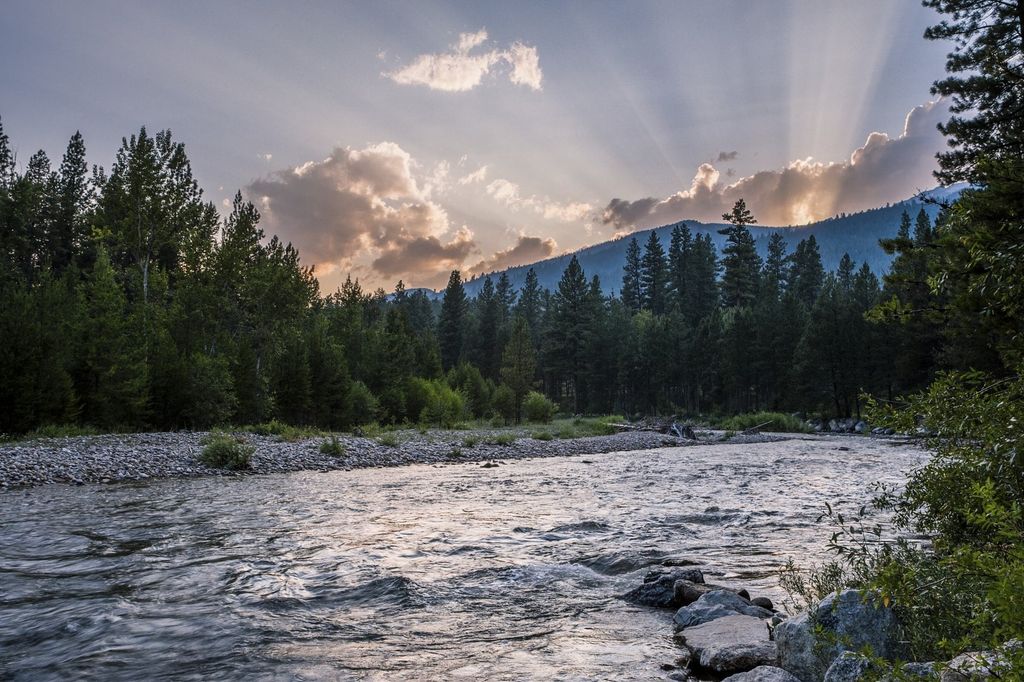 Montana
