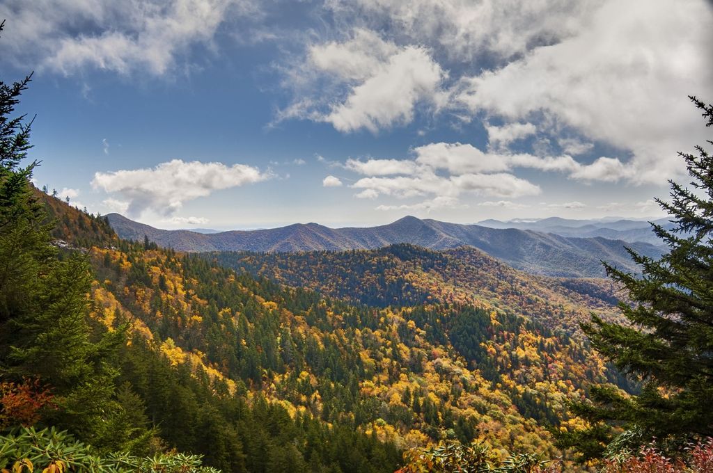 North Carolina
