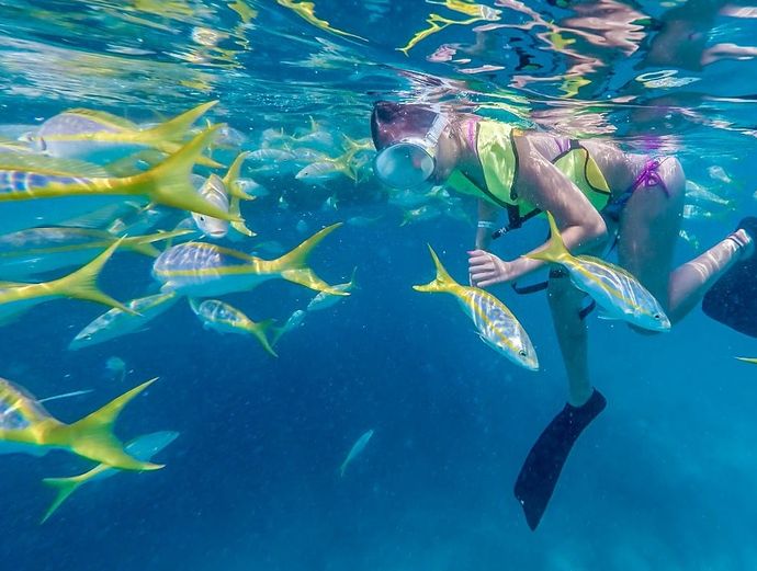 Key West Original Watersports Adventure: Full-Day Snorkel, Jet Ski, Parasail, Banana Boat, Kayak (breakfast, lunch & drinks included) Image 2