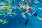 Key West Original Watersports Adventure: Full-Day Snorkel, Jet Ski, Parasail, Banana Boat, Kayak (breakfast, lunch & drinks included) Image 2
