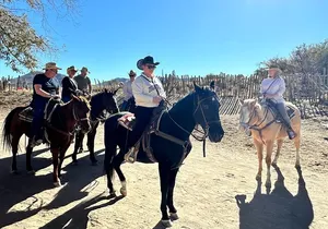 Horseback Ride Joshua Tree Forest Buffalo Lunch Singing Cowboy